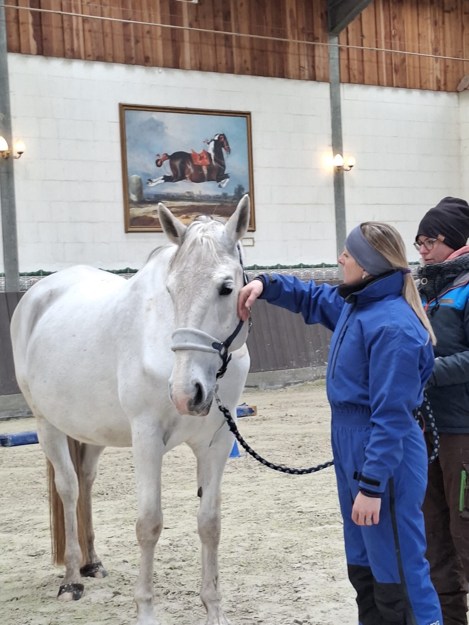 Horse Speak Kurstag auf Gut Hanum 20.04.2026