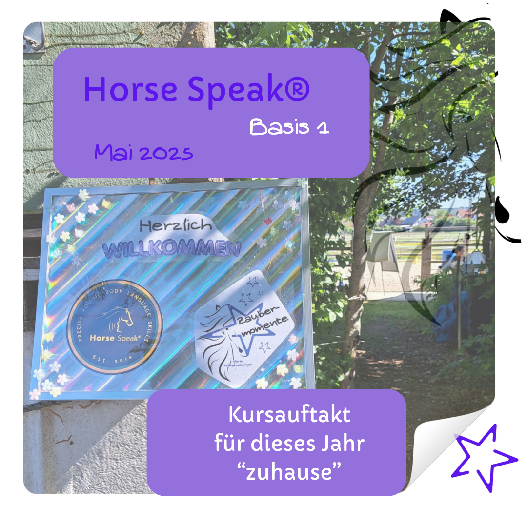 Horse Speak - Basis 1 am 23.05.2026 - Start in die Kurssaison "zuhause"