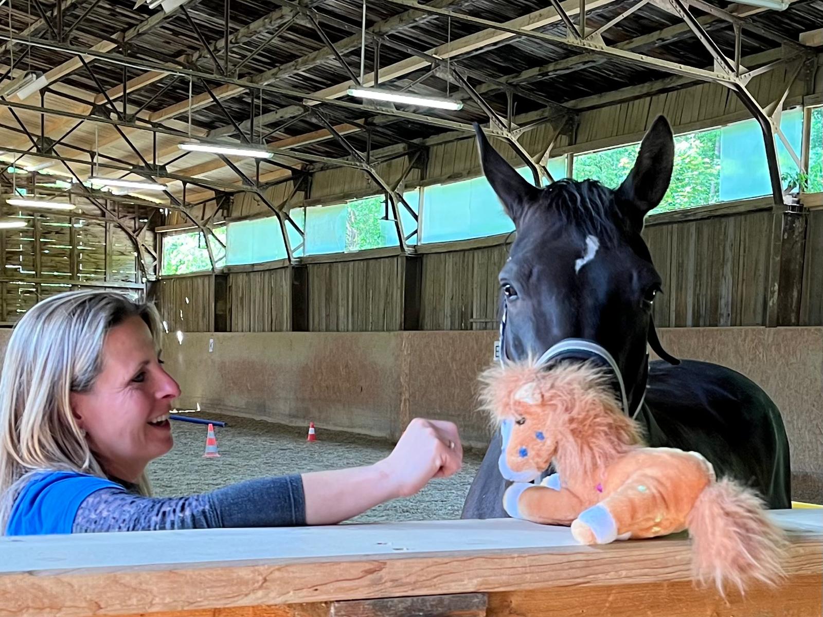 Wien Teil 2 - Tageskurs Horse Speak