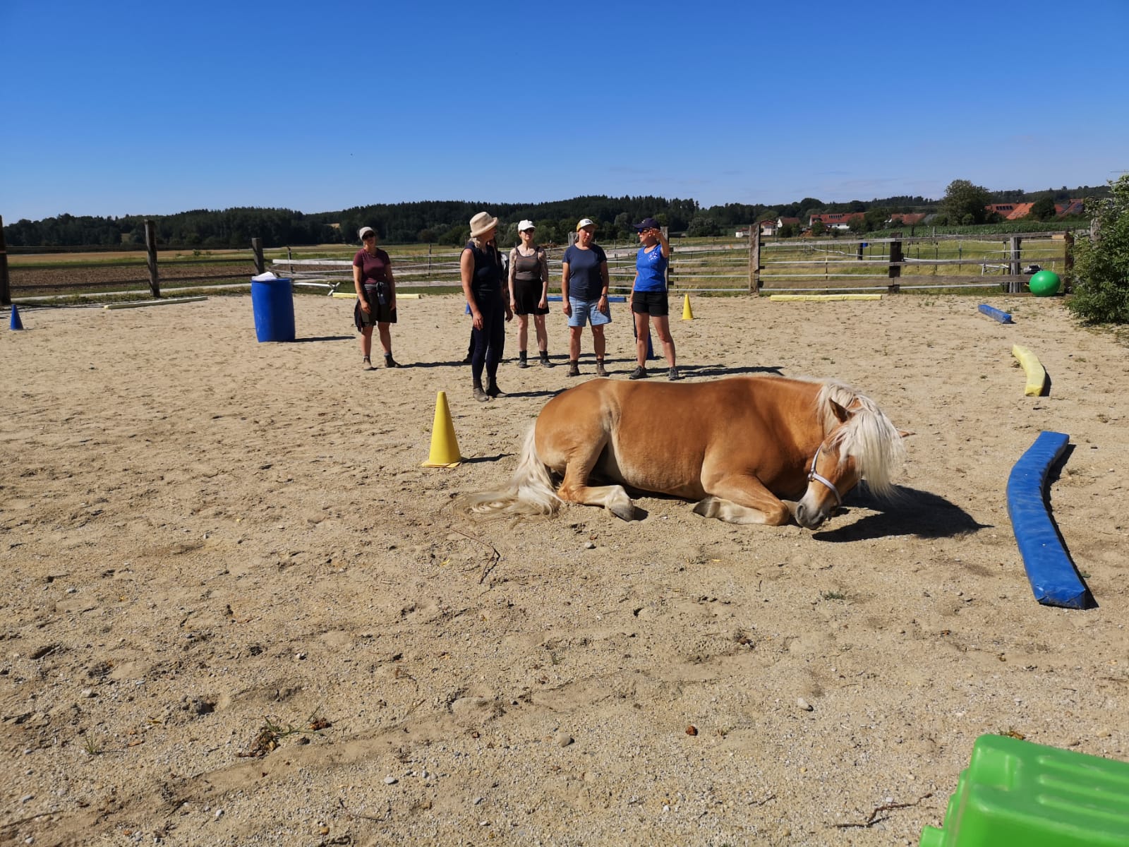 Horse Speak Basis 2 – die Reise geht weiter